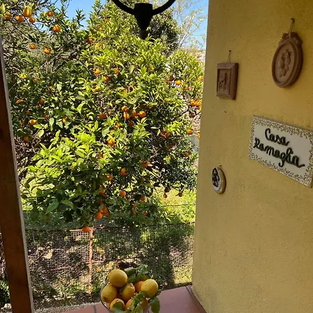 Prázdninový dům Casa Ramaglia Tra Mare E Monti Casamicciola Terme
